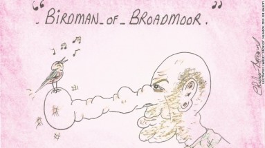 Bronson - Birdman