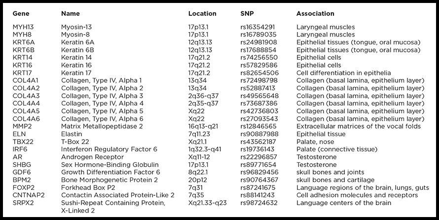 nv-table-snps