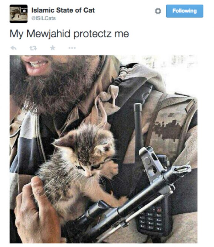 Feral Memes – The New Inquiry